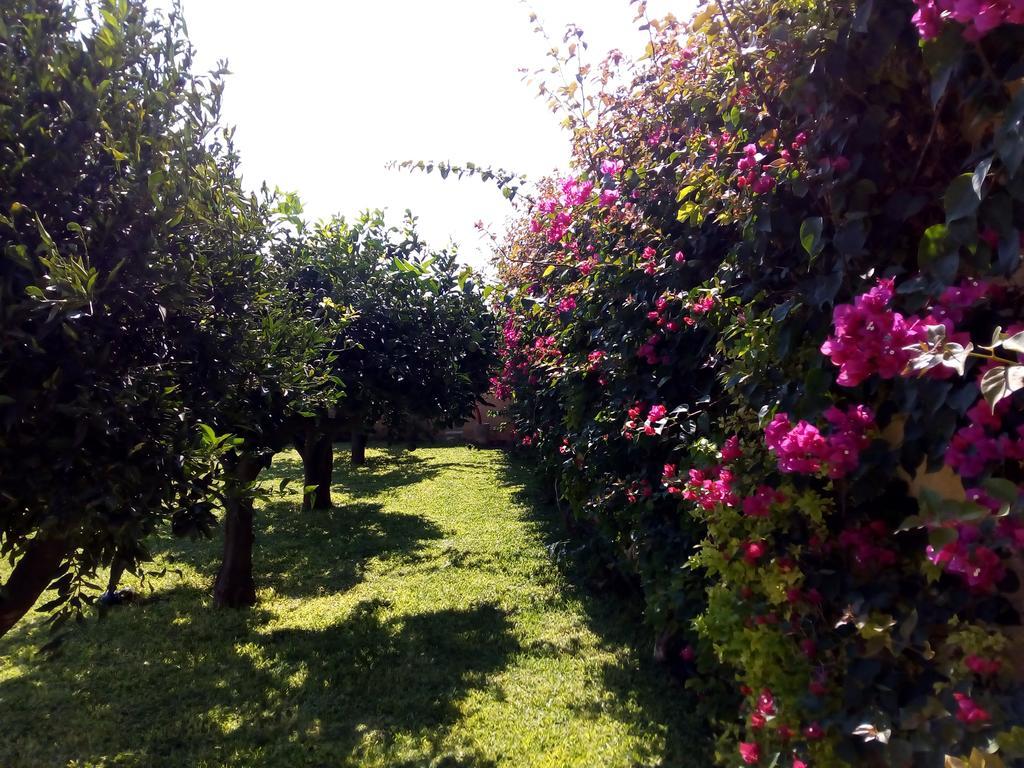 Bed and Breakfast Baglio Olivastro Digerbato Екстер'єр фото